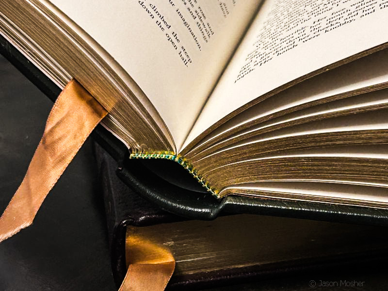 A close-up view of the binding on a leather book.